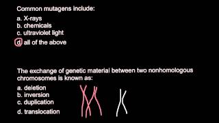 Common DNA mutagens [upl. by Aroda]