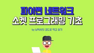 파이썬 기초  네트워크 소켓 프로그래밍 [upl. by Aker619]