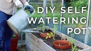 DIY SelfWatering Pot for the Garden Olla Update [upl. by Siari]