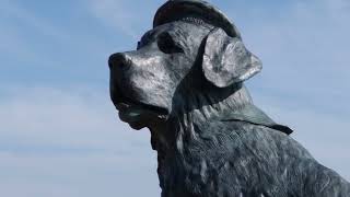 The Story of Bamse The Norwegian Sea Dog  Scotlands History [upl. by Ardiek31]