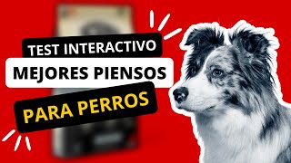 🐶🧆 Mejores PIENSOS para PERROS 2024  TEST INTERACTIVO [upl. by Rome]