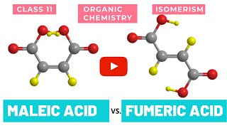 MALEIC ACID VS FUMARIC ACID [upl. by Llertal710]