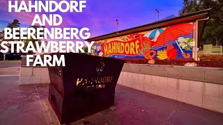 EPISODE 41 HAHNDORF  BEERENBERG STRAWBERRY FARM  DISCOVERY PARKS  AUTUMN [upl. by Enttirb]