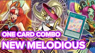 NEW Melodious cards combo showcase [upl. by Mahala]