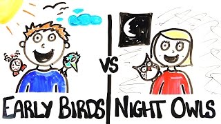 Early Birds vs Night Owls [upl. by Autum]