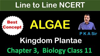 Chapter 3 Kingdom Plantae  Alage  class 11 biology chapter 3  Line to line biology [upl. by Eceerehs620]