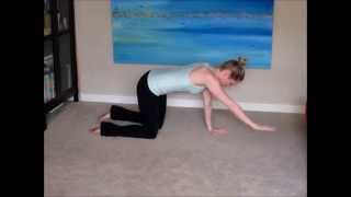 Exercises for Pelvic Pain Pubis Symphysis Dysfunction [upl. by Lanta]