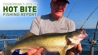 Lake Erie Walleyes and More  August 27th  Hot Bite Fishing Report [upl. by Kcirddes]