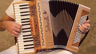 Italian Music TARANTELLA NAPOLETANA accordion Fisarmonica Akkordeonmusik Acordeon The Godfather [upl. by Airolg]