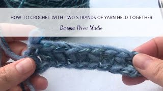 How to Crochet With Two Strands of Yarn Held Together [upl. by Cuyler245]