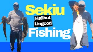 Sekiu Halibut and Lingcod fishing New Species Arrowtooth Flounder [upl. by Kampmann494]