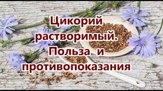 Цикорий растворимый Польза цикория и противопоказания Заменитель кофе [upl. by Nakashima]