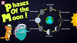 Phases Of The Moon  Why Does The Moon Change Its Shape  Space  Dr Binocs Show  Peekaboo Kidz [upl. by Huntington273]