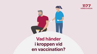 Vad händer i kroppen vid en vaccination [upl. by Notfilc]