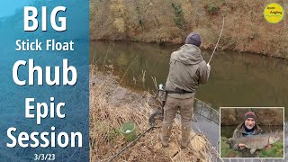 Huge Avon Chub On The Float  Stick Float Trotting  River Fishing  3323 Video 390 [upl. by Aleek995]