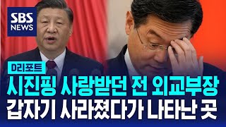 시진핑 사랑받던 친강 전 외교부장 갑자기 사라졌다가 나타난 곳  SBS  D리포트 [upl. by Zielsdorf280]