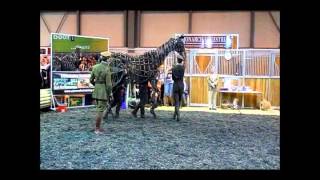 War Horse at BETA International 2012 [upl. by Ailliw]