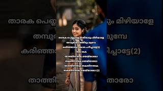 Tharaka Pennalesongmalayalam lyricsKichus Tharikidas [upl. by Durstin228]