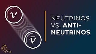 Are neutrinos their own antiparticle  Even Bananas [upl. by Ientirb]