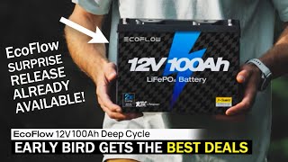 EcoFlow 12V 100Ah Battery  Full Review Plus Early Bird Discount Details [upl. by Berneta]