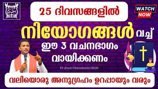 ക്രിസ്തുമസിന് ഒരു അനുഗ്രഹം ഉറപ്പിക്കാം 25 DAYS PRAYER FOR CHRISTMAS Fr Jince Cheenkallel HGN [upl. by Neellek]