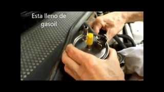 Ford Focus 18 Tddi Cambio filtro combustible [upl. by Ilek]