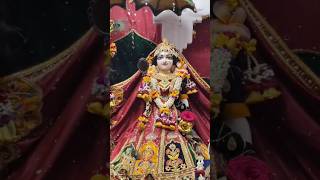 কৃষ্ণ ভক্ত হওয়া বড়োই সৌভাগ্যজনক।iskcon শর্ট love bhakti ytshorts [upl. by Ykcor]