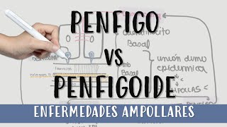 EnfermedadesAmpollares AMPOLLAS Bulas UnionDermoEpidermica PENFIGO O PENFIGOIDE [upl. by Deni861]