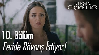 Feride rövanş istiyor  Kırgın Çiçekler 10 Bölüm [upl. by Genisia500]