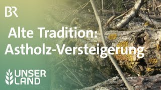 Alte Tradition Versteigerung von Astholz  Unser Land  BR Fernsehen [upl. by Htaras]