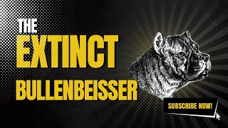 Uncovering the Secrets of the Extinct Bullenbeisser [upl. by Ibbie]