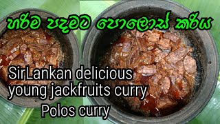 ✓හරිම පදමට පොලොස් කරියSrilankan delicious young jackfruits curry polos curry ndees foods [upl. by Eyram]