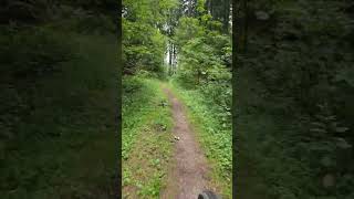 Descente downhill Bois du Jorat Lausanne 5 switzerland [upl. by Annawit]