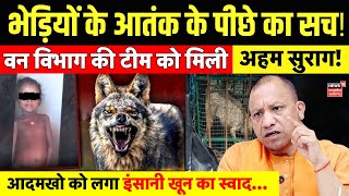 Wolf Attack Live वन विभाग के हाथ लगा भेड़ियों के आतंक का सच  Bahraich Bhediya  UP News  CM yogi [upl. by Esten227]