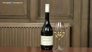 Disznókö Tokaji Dry Furmint 2016 wine review [upl. by Ydoc]