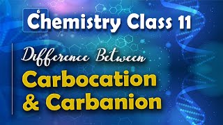 Difference Between Carbocation and Carbanion  Basic Principle and Techniques in Organic Chemistry [upl. by Eisinger]