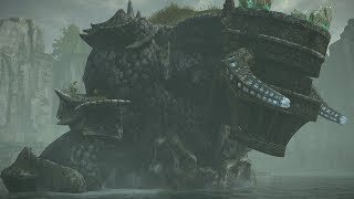 Shadow Of The Colossus PS4  Pelagia NTA  005929 [upl. by Nnaillek]