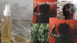 Miracle Hair Growth with Rosemary Water in 7 Days [upl. by Ttocs]