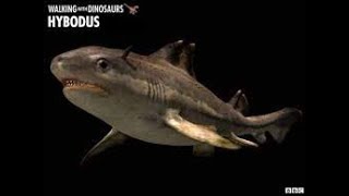 TRILOGY OF LIFE  Sea Monsters amp Walking with Dinosaurs  Horned shark  Hybodus [upl. by Nylatsirk62]