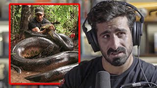 I Survived Eaten Alive by an Anaconda  Paul Rosolie [upl. by Ahsatsana]