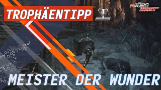 Dark Souls 3  ErfolgTrophäe  Meister der Wunder GermanDeutsch [upl. by Ilojna]