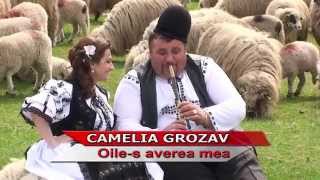 CameliaGrozav  Oiles averea mea [upl. by Outhe]