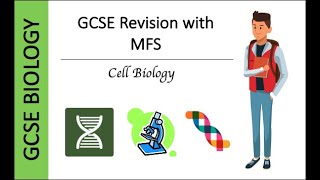 GCSE Biology Chromosomes and Mitosis Exam Questions [upl. by Ennayk]