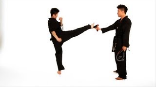 How to Do a Roundhouse Kick  Taekwondo Training [upl. by Eiclud]