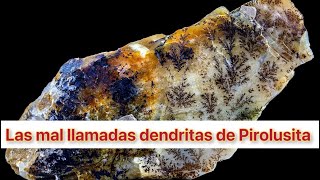 Las mal llamadas dendritas de Pirolusita CANAL DE MINERALES [upl. by Aritak]