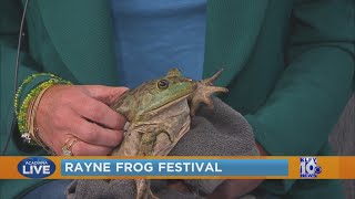 Acadiana Live Rayne Frog Festival [upl. by Allehc]