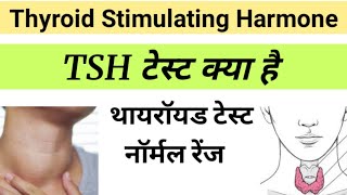 TSH Test in Hindi  Thyroid Stimulating Harmone  tsh report in hindi [upl. by Aihsal]