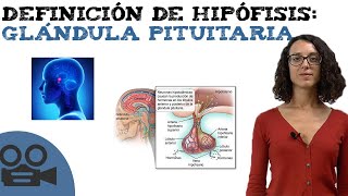 Definición de hipófisis glándula pituitaria [upl. by Okiam]