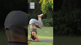 Headstand for Beginners StepbyStep Guide to Sirsasana  Find Balance and Focus in Sirsasana yoga [upl. by Nabroc]