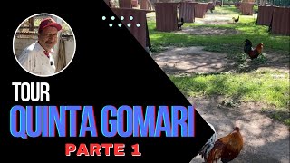 49 Tour por Quinta Gomari Parte 1 [upl. by Drews]